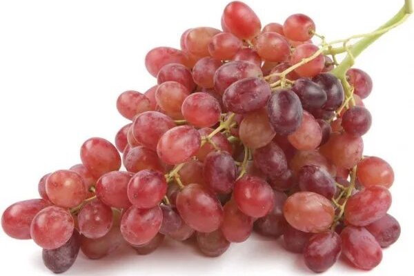 Виноград 



